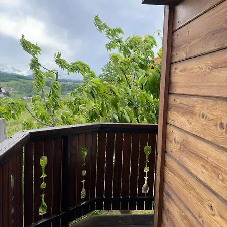 Cozy Winehouse - Remote Vineyard Escape Holiday home Podcetrtek