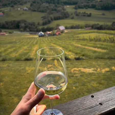 Cozy Winehouse - Remote Vineyard Escape Podcetrtek